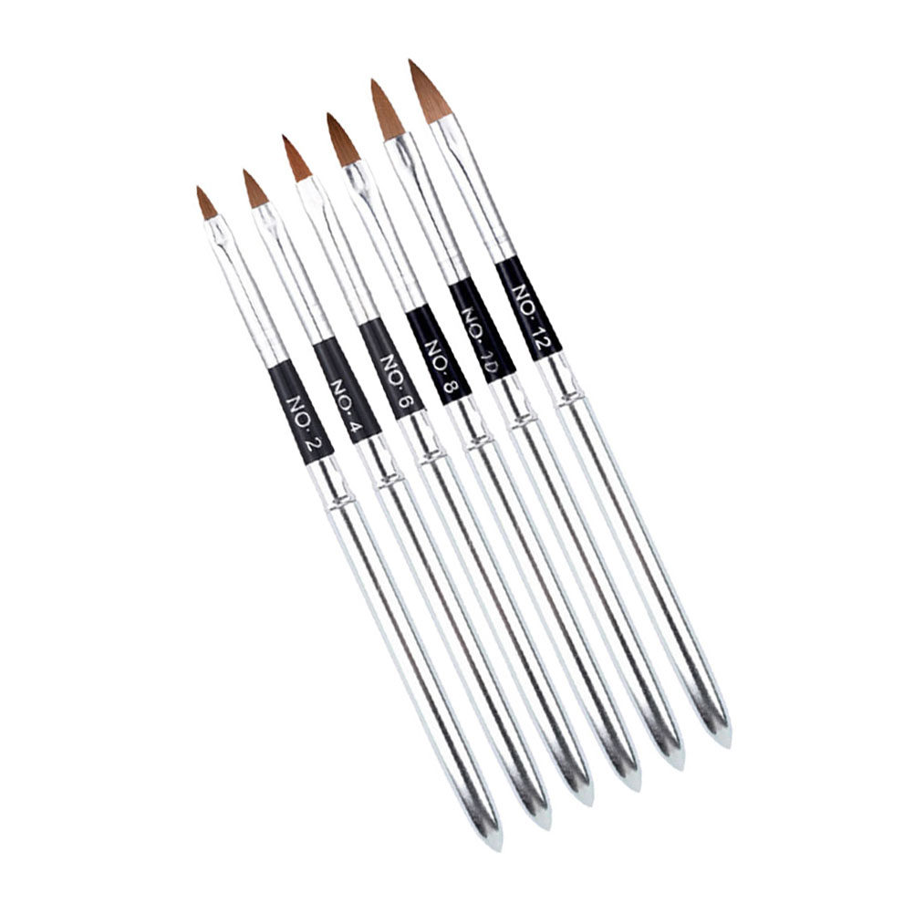 Ensemble de 6 pinceaux profess - Brush Bristle Set avis et prix